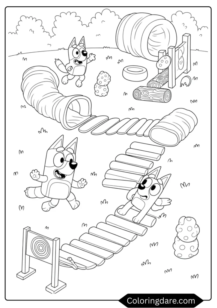 Bluey's Backyard Obstacle Course